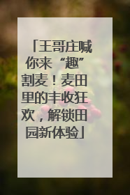 王哥庄喊你来“趣”割麦！麦田里的丰收狂欢，解锁田园新体验