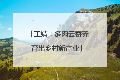王婧：多肉云寄养 育出乡村新产业