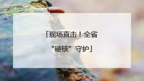 现场直击！全省“硬核”守护