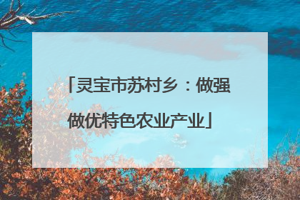 灵宝市苏村乡：做强做优特色农业产业