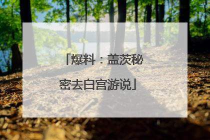 爆料：盖茨秘密去白宫游说