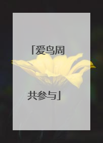 爱鸟周 共参与