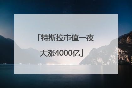 特斯拉市值一夜大涨4000亿