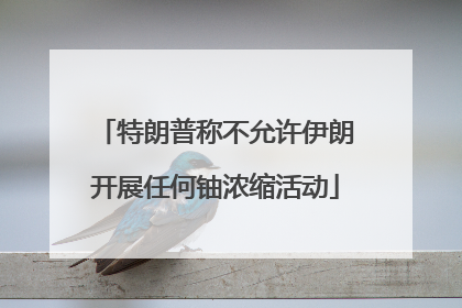 特朗普称不允许伊朗开展任何铀浓缩活动
