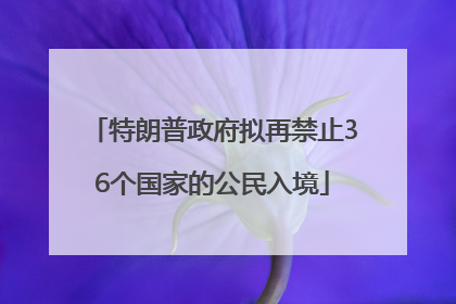 特朗普政府拟再禁止36个国家的公民入境