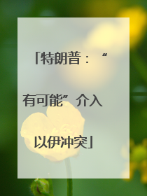 特朗普：“有可能”介入以伊冲突