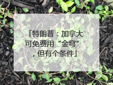 特朗普：加拿大可免费用“金穹”，但有个条件