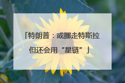 特朗普：或挪走特斯拉 但还会用“星链”