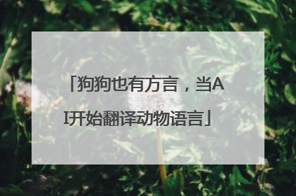 狗狗也有方言，当AI开始翻译动物语言