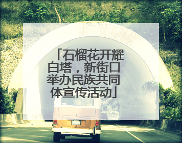 石榴花开耀白塔，新街口举办民族共同体宣传活动