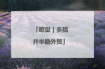瞭望｜多措并举稳外贸