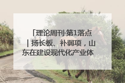 理论周刊·第1落点｜扬长板、补弱项，山东在建设现代化产业体系上“大有可为”