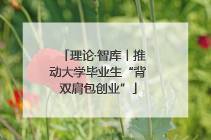 理论·智库丨推动大学毕业生“背双肩包创业”