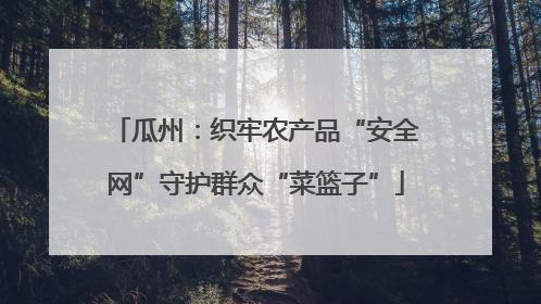 瓜州：织牢农产品“安全网”守护群众“菜篮子”