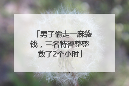 男子偷走一麻袋钱，三名特警整整数了2个小时