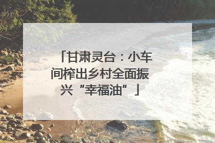 甘肃灵台：小车间榨出乡村全面振兴“幸福油”