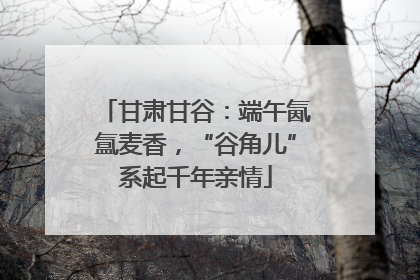 甘肃甘谷：端午氤氲麦香，“谷角儿”系起千年亲情
