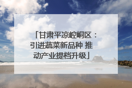 甘肃平凉崆峒区：引进蔬菜新品种 推动产业提档升级