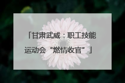 甘肃武威：职工技能运动会“燃情收官”