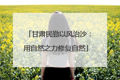甘肃民勤以风治沙：用自然之力修复自然