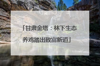 甘肃金塔：林下生态养鸡踏出致富新道