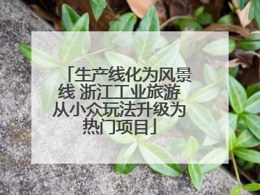 生产线化为风景线 浙江工业旅游从小众玩法升级为热门项目