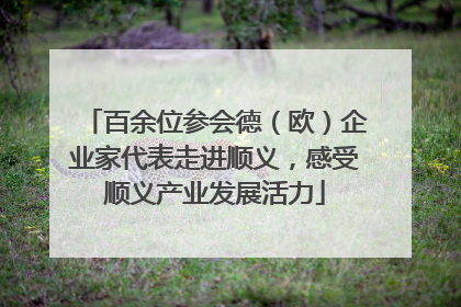 百余位参会德（欧）企业家代表走进顺义，感受顺义产业发展活力