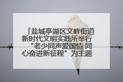 盐城亭湖区文峰街道新时代文明实践所举行“老少同声爱国情 同心奋进新征程”为主题的红色文化活动