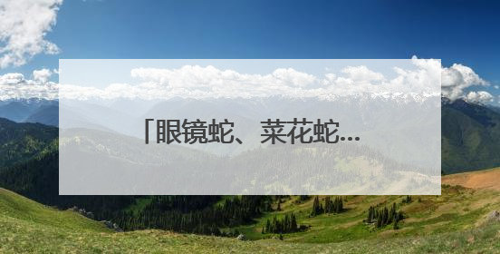 眼镜蛇、菜花蛇……江西多地蛇出没