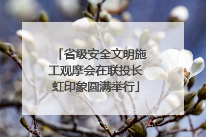 省级安全文明施工观摩会在联投长虹印象圆满举行