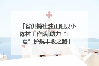 省供销社驻正阳县小陈村工作队 助力“三夏”护航丰收之路
