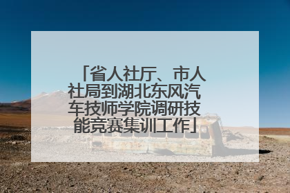 省人社厅、市人社局到湖北东风汽车技师学院调研技能竞赛集训工作