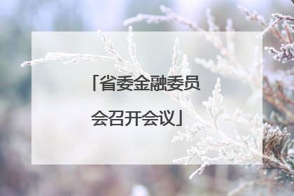 省委金融委员会召开会议