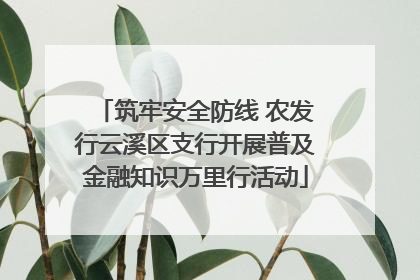 筑牢安全防线 农发行云溪区支行开展普及金融知识万里行活动