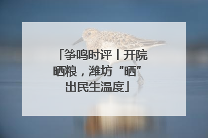 筝鸣时评丨开院晒粮，潍坊“晒”出民生温度