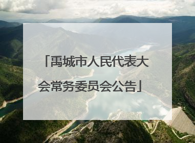 禹城市人民代表大会常务委员会公告