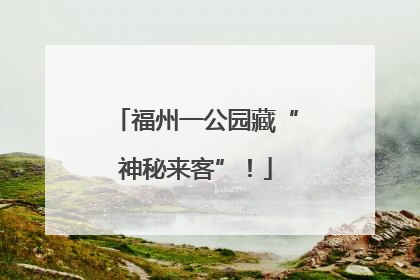 福州一公园藏“神秘来客”！