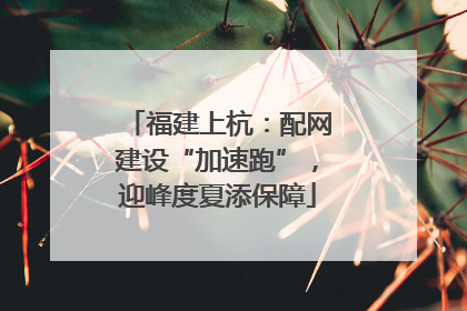 福建上杭：配网建设“加速跑”，迎峰度夏添保障