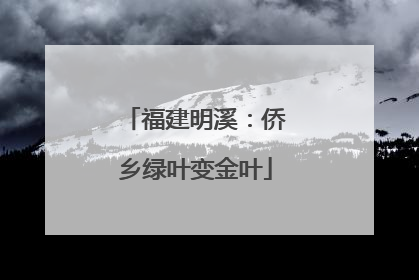 福建明溪：侨乡绿叶变金叶