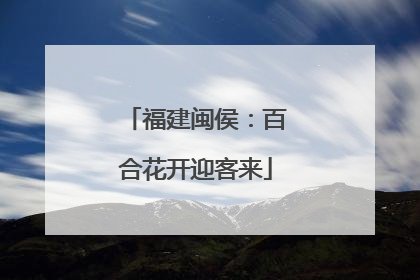 福建闽侯：百合花开迎客来