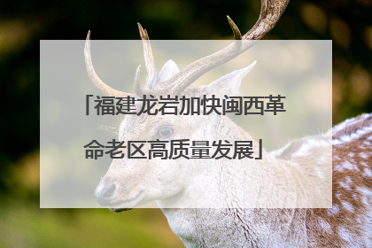 福建龙岩加快闽西革命老区高质量发展