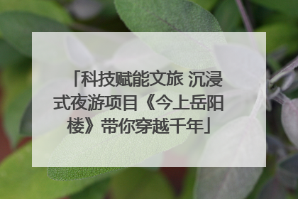 科技赋能文旅 沉浸式夜游项目《今上岳阳楼》带你穿越千年