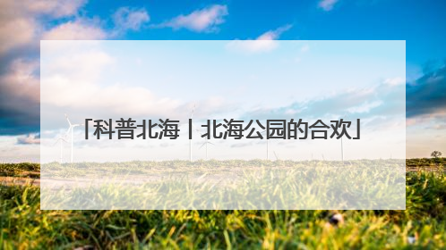 科普北海丨北海公园的合欢