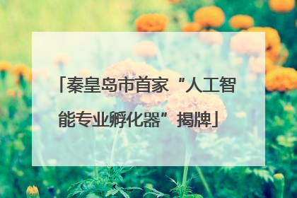 秦皇岛市首家“人工智能专业孵化器”揭牌