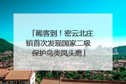 稀客到！密云北庄镇首次发现国家二级保护鸟类凤头鹰