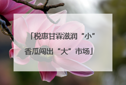 税惠甘霖滋润“小”香瓜闯出“大”市场