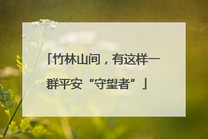 竹林山间，有这样一群平安“守望者”