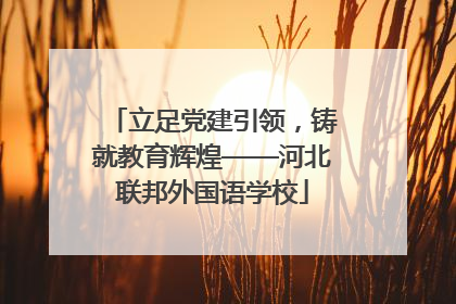 立足党建引领，铸就教育辉煌——河北联邦外国语学校