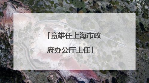 章雄任上海市政府办公厅主任