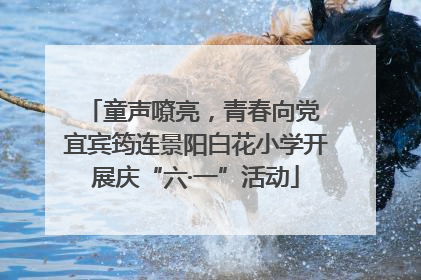 童声嘹亮，青春向党 宜宾筠连景阳白花小学开展庆“六·一”活动